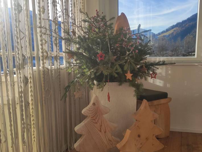 Ganze Ferienwohnung, Ferienwohnung Kerschbaumer - Appartement/Fewo in Hohe Tauern, Rangersdorf