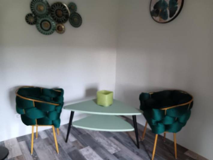 Chambre d’hôte pour 4 personnes, avec jardin et vue à L'Isle-sur-la-Sorgue - 3