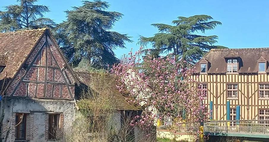 Chambre d’hôte pour 3 personnes, avec jardin à Romorantin-Lanthenay - 2