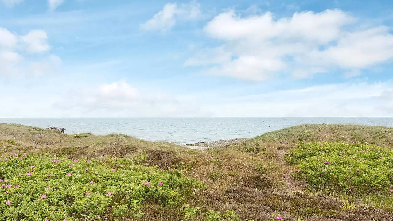 Ferienhaus für 12 Personen (210 m²) in Sjællands Odde in Yderby Lyng, Sjællands Odde