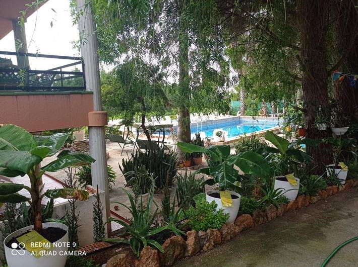 Casa rural para 7 personas, con vistas además de jardín y piscina, Se admiten mascotas en Delta del Ebro