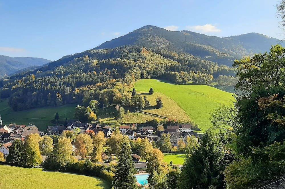 Ganze Wohnung, Moderne Ferienwohnung im Luftkurort Oberprechtal mitten im Schwarzwald in Oberprechtal, Elzach