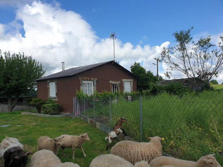 Location de vacances pour 10 personnes, avec jardin ainsi que jacuzzi et bassin pour enfant à Sarria (Lugo) - 4