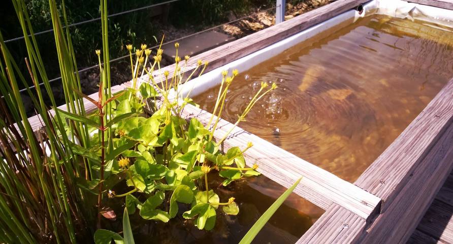 Péniche pour 8 personnes, avec terrasse en Bourgogne-Franche-Comté - 3