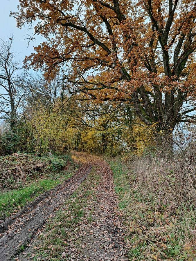 Gite Les Aubues in Lormes, Parc naturel régional du Morvan