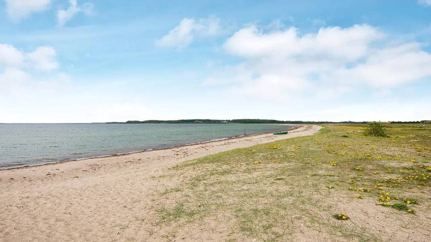 Ferienhaus für 5 Personen, mit Whirlpool und Terrasse sowie Garten und Sauna in Flovt Strand - 4