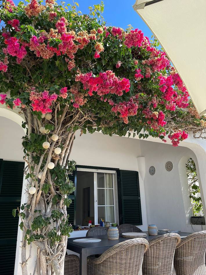 Casa rural para 6 personas, con jardín en Municipio de Alaior - 3