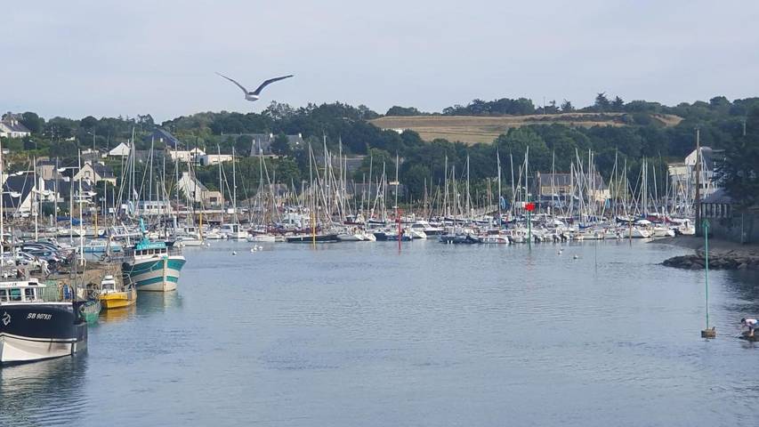 Location de vacances pour 6 personnes, avec jardin dans Plage du Port Morvan - 3