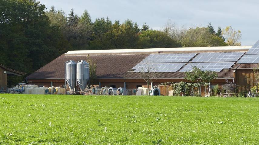 Ferienhaus für 4 Personen, mit Garten, kinderfreundlich im Taubertal - 4