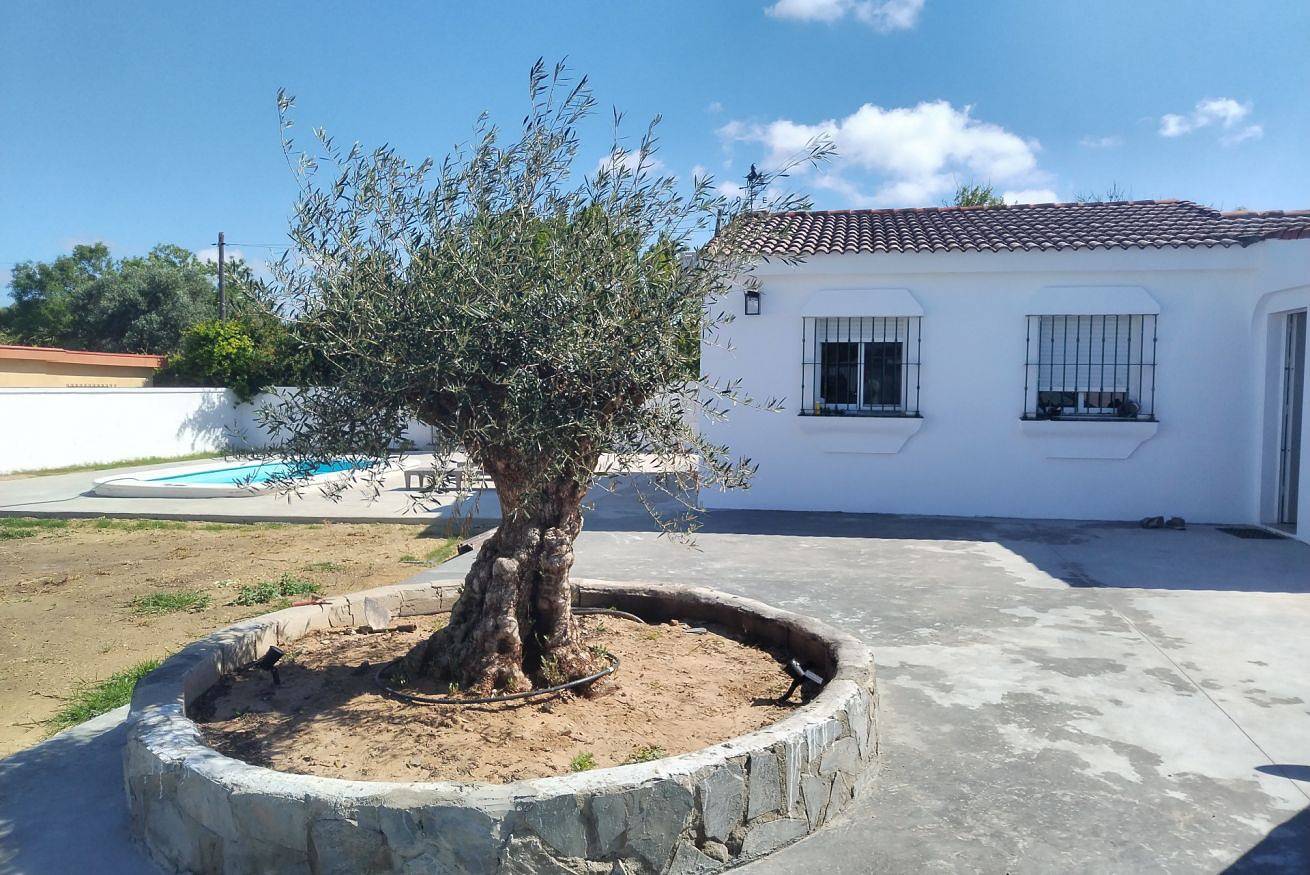 Ganze Wohnung, ☀️ Moderner Ferien-Chalet mit Privatem Pool & Bbq | Cadiz -Chiclana de la Frontera in Chiclana de la Frontera, Costa de la Luz