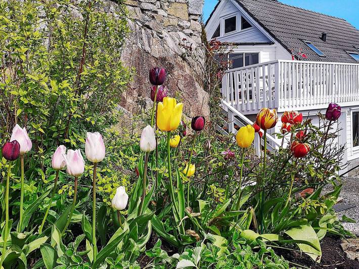 Feriehus for 8 personer, med Terrasse i Hordaland
