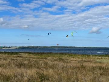 Ferieudlejning til 4 Personer i Bogø, Svenske Østersøen, Billede 3