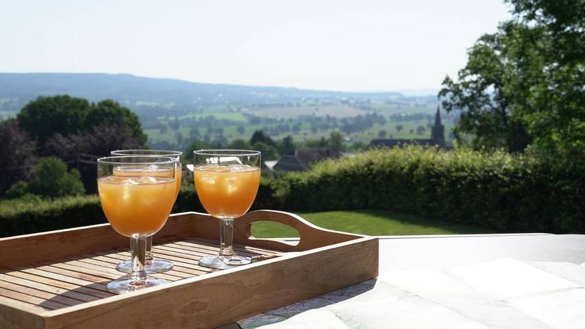 Location de vacances pour 8 personnes, avec Jacuzzi et Terrasse ainsi que Jardin et Sauna à Lierneux - 4