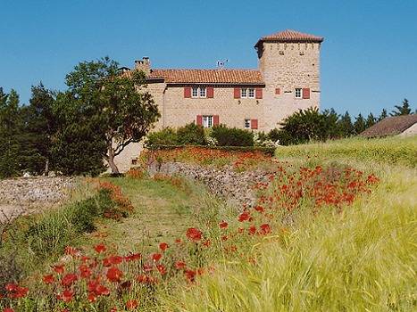 Château Domaine de la Cadenède in Millau, Parc naturel régional des Grands Causses