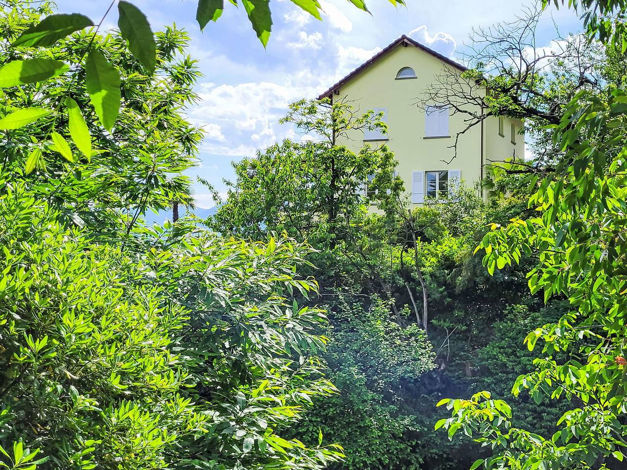 Villa Vernice Gialla - Villa Vernice Gialla 70.1 in Minusio, Alpes tessinoises