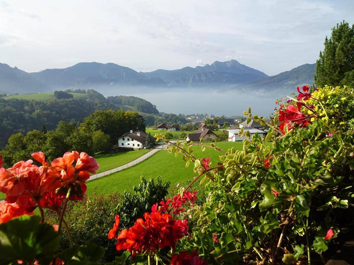 Geheel appartement, Family Apartment with Balcony in Steinbach am Attersee, Bezirk Vöcklabruck