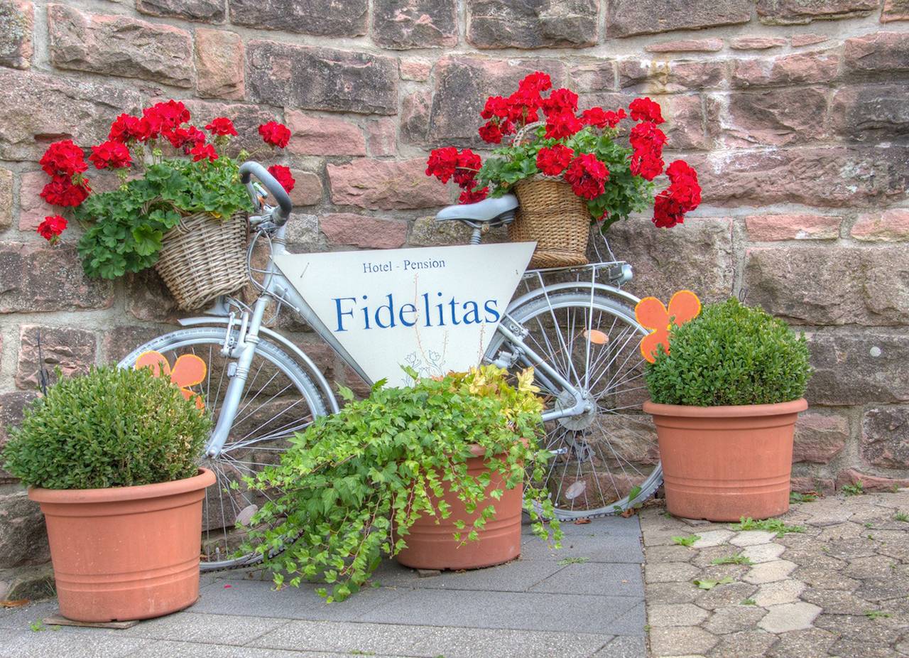 Hotel-Pension Fidelitas Garni - Appartment in Bad Herrenalb, Nordschwarzwald