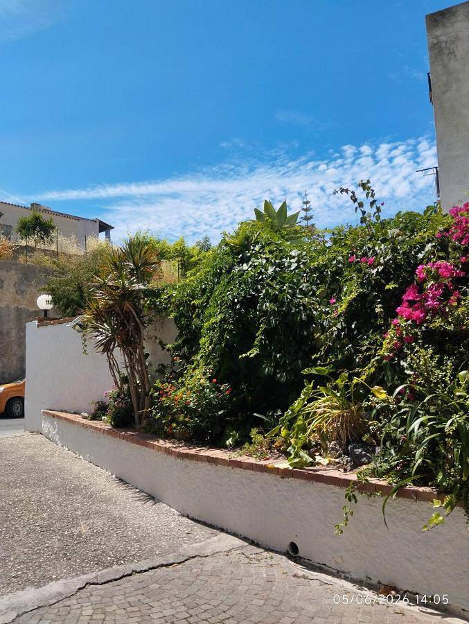 Villa Thomas Bb conduzione familiare in Forio, Ischia