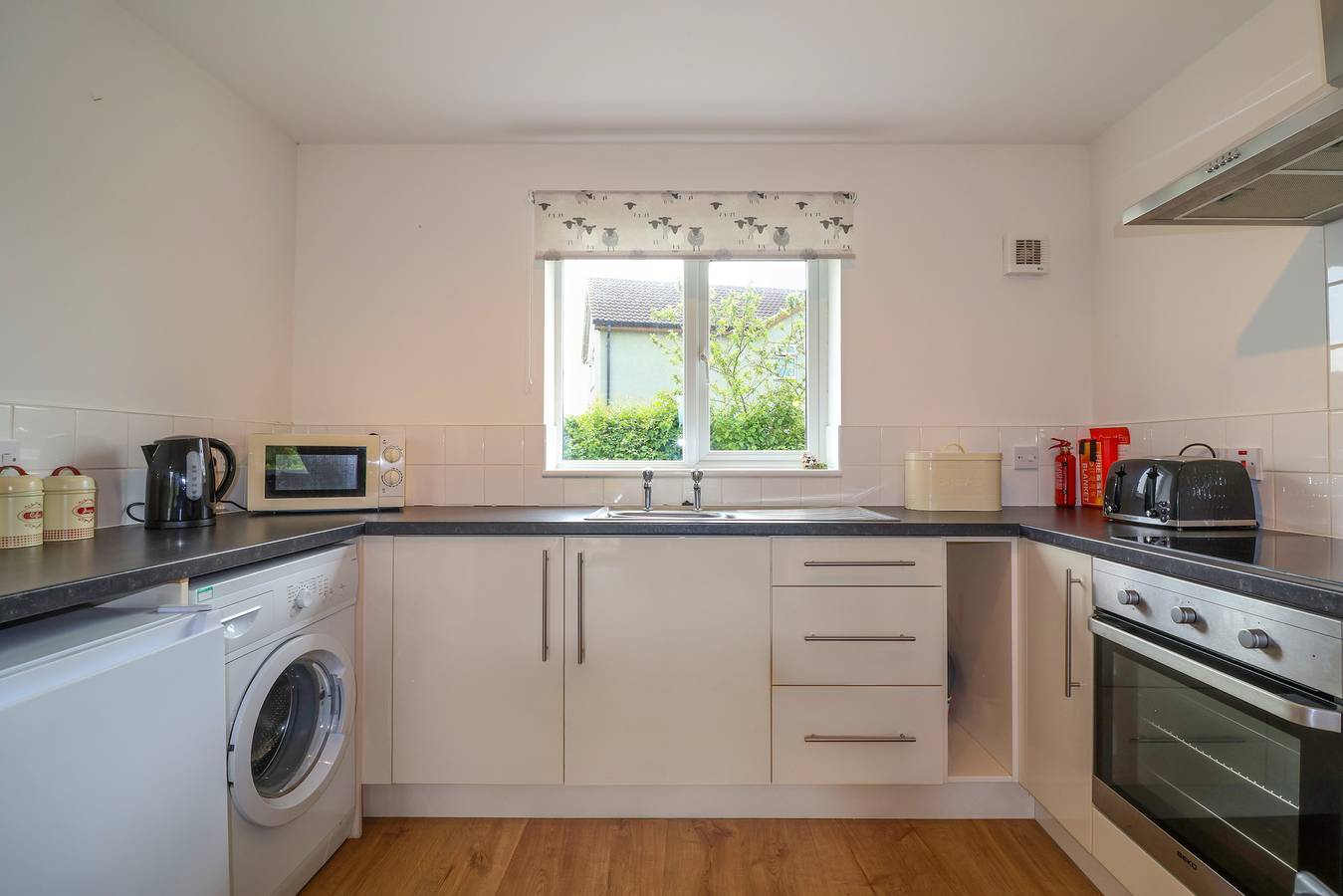 Mallard in Burnham Without, Somerset