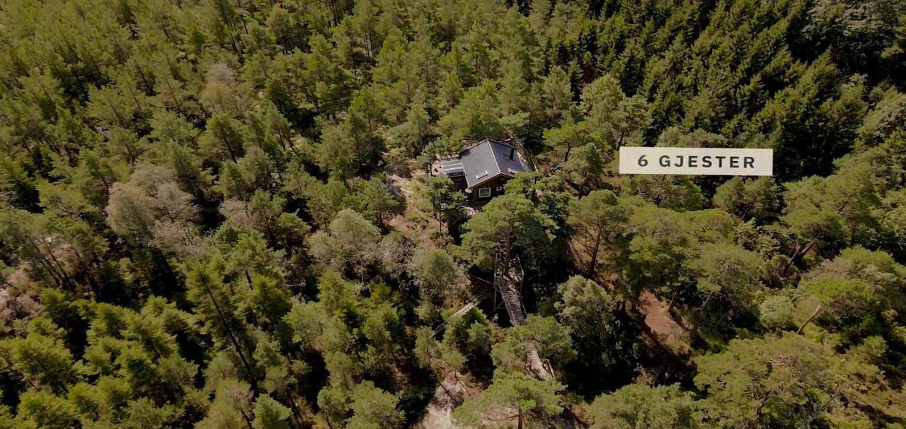 Gluba Treetop Cabins Furunåla in Mandal