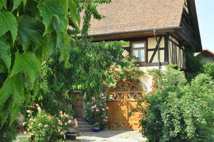 Ferienwohnung für 2 Personen, mit Terrasse und Garten in Breuberg - 3
