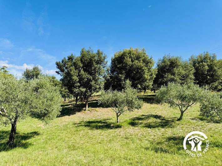 Gîte pour 4 personnes, avec jardin dans Minervois - 3