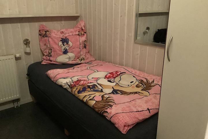 Ferienpark für 6 Personen, mit Garten und Terrasse sowie Sauna, mit Haustier an der Schlei-Ostsee - 3