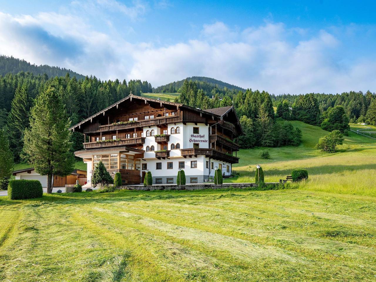 Pension Schneerose - Einzelzimmer, Dusche, Wc in Wildschönau, Kaisergebirge