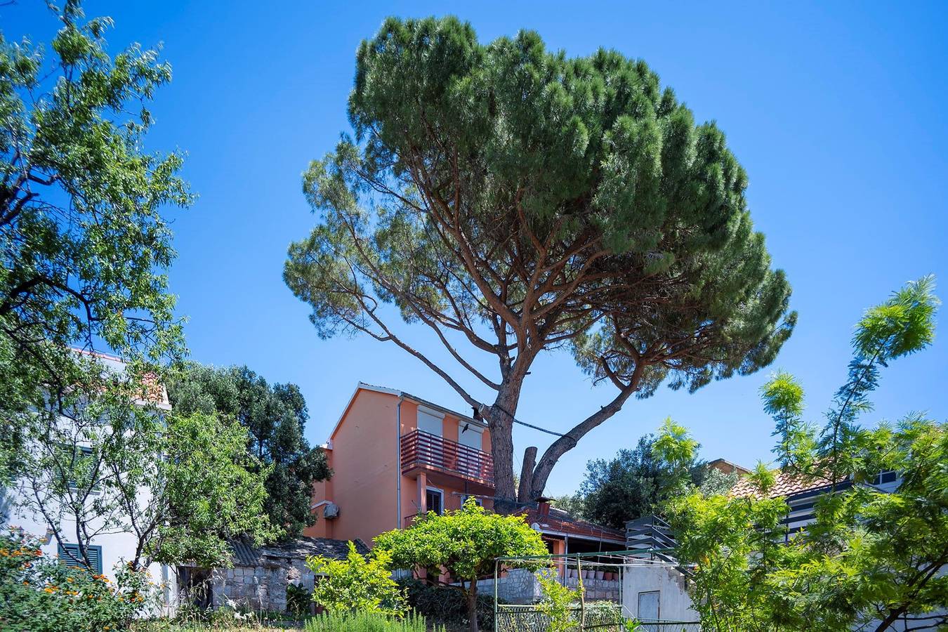 Apartamento inteiro, Charming Holiday Apartment in the Heart of Postup Vineyards – Spectacular Sea Views! in Orebic, Dubrovnik-Neretva