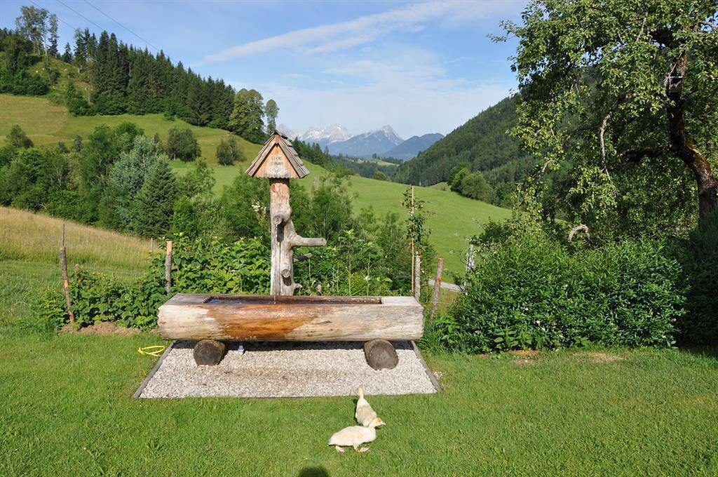 Bauernhaus für 2 Personen mit Garten in Rosenau am Hengstpaß, Kirchdorf an der Krems (Bezirk)