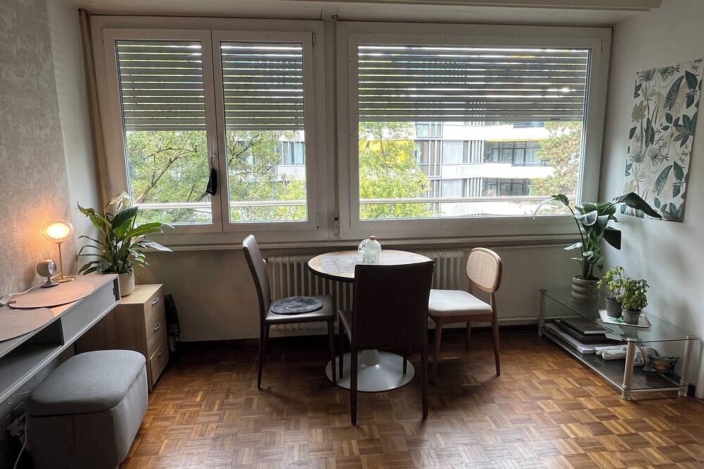Appartamento intero, Cozy Studio Champel in Champel, Ginevra