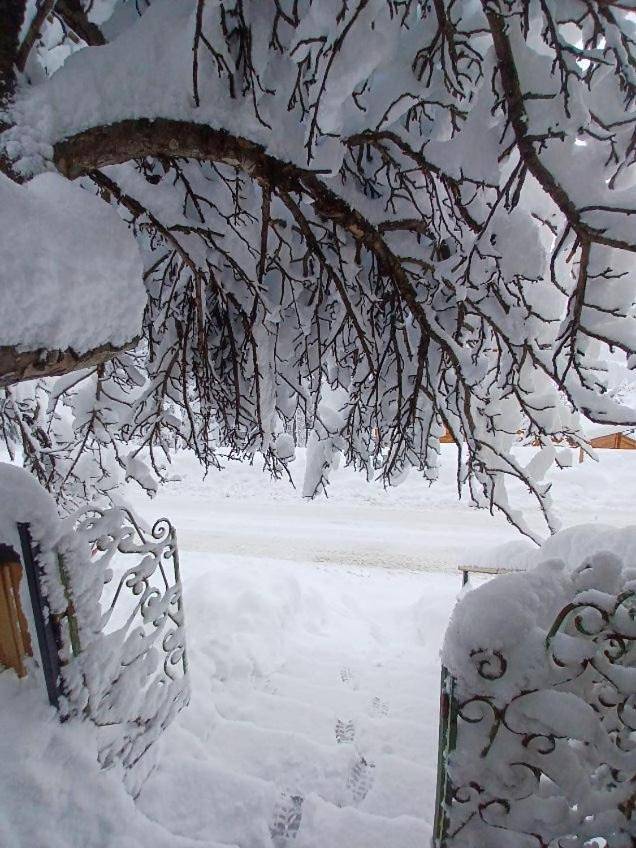 Chalet Familial Auron in Auron, Saint-Étienne-de-Tinée