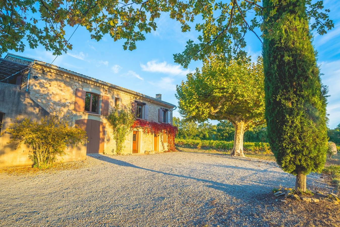 Gîte La Planchette, en Provence in Saint-Romain-en-Viennois, Parc naturel régional du Mont-Ventoux