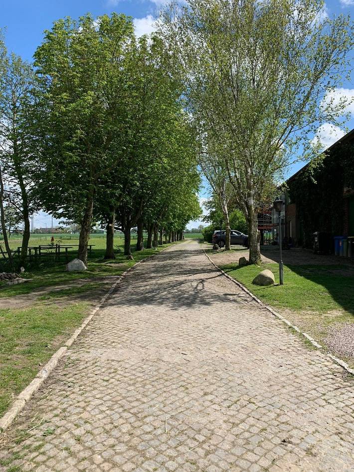 Bauernhof für 5 Personen, mit Terrasse und Garten in Friedrichskoog - 3