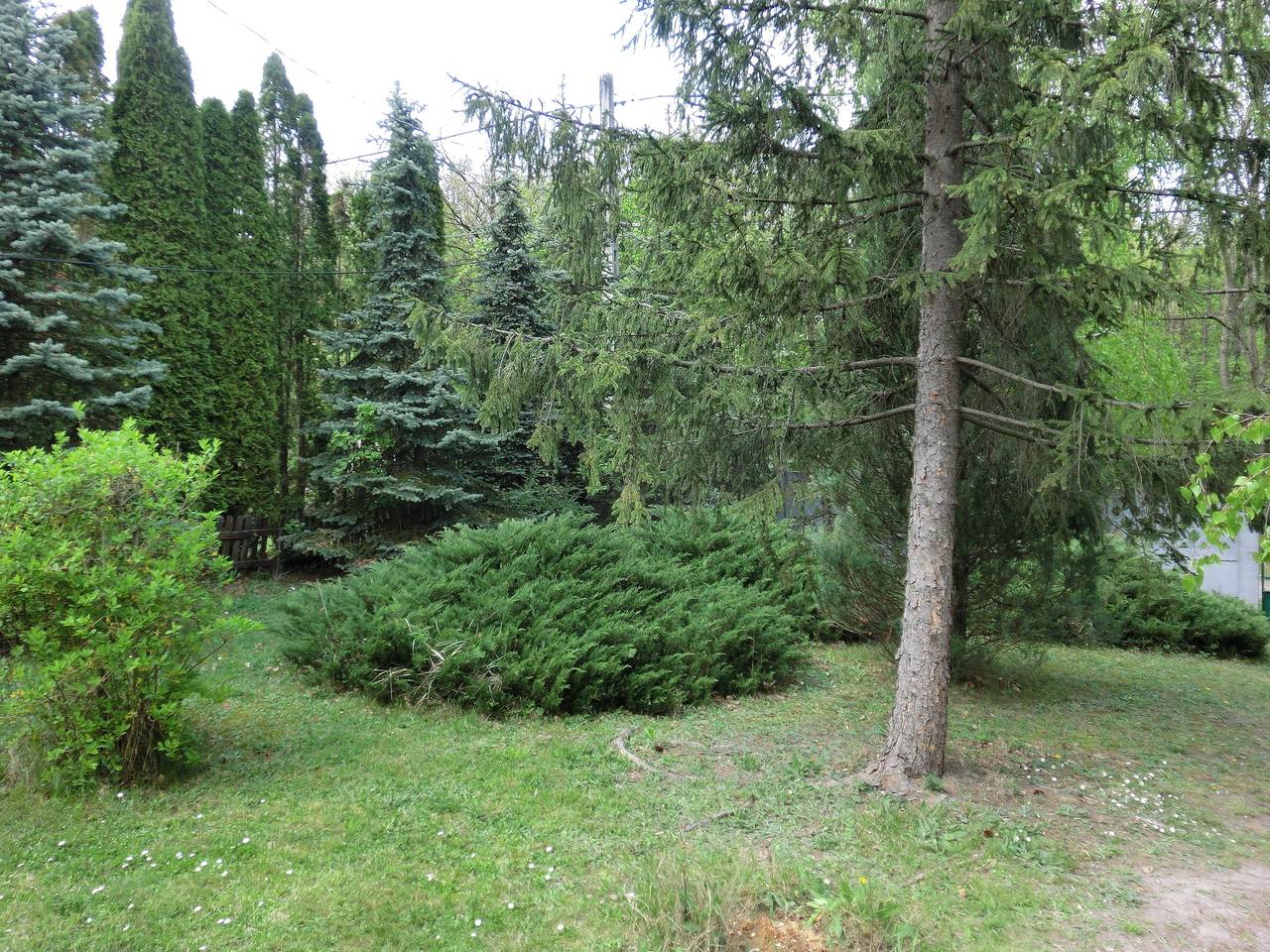 Ferienhaus "Donauknie" nahe Budapest  (Hunde willkommen) in Leányfalu, Duna Ipoly Nationalpark