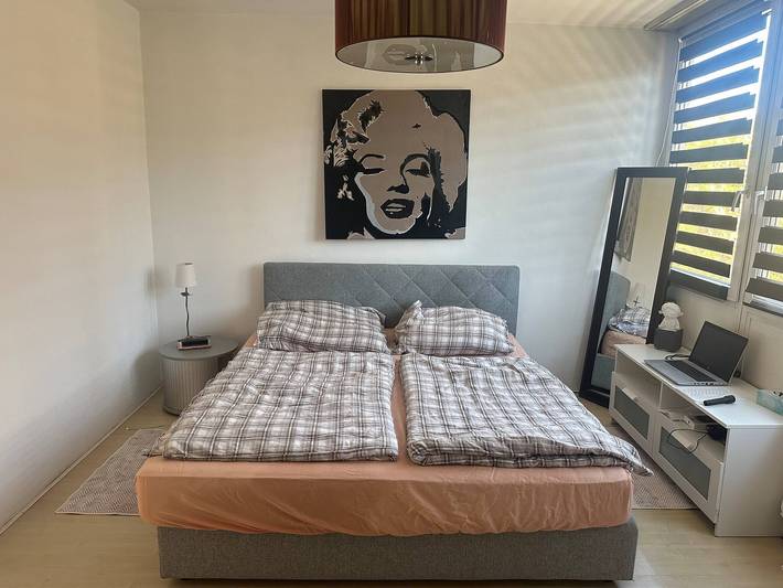 Ferienwohnung für 4 Personen, mit Balkon/Terrasse und Whirlpool in Salzburg - 3