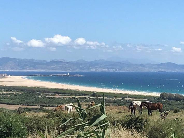 Cabaña de madera para 4 personas, con vistas al mar además de terraza y jardín, Se admiten mascotas en Campo de Gibraltar - 3