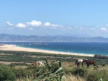 Cabaña De Madera para 4 Personas en Tarifa, Parque natural de Los Alcornocales, Foto 2