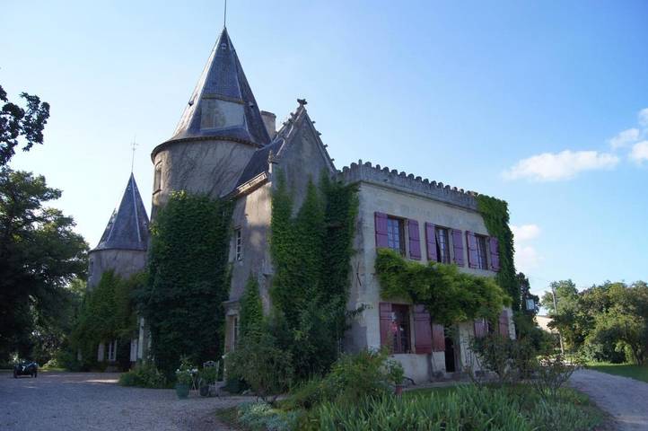 Gîte pour 12 personnes, avec jardin et vue, animaux acceptés à Lugon-et-l'Île-du-Carnay - 2