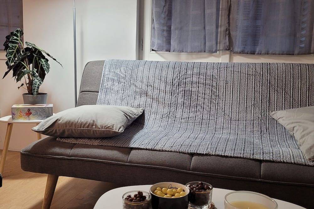 Entire apartment, The Duchess of Bourbon in Châtellerault, Vienne
