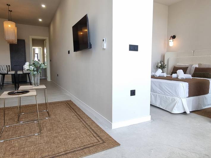 Apartamento entero, Estudio luminoso en Valencia con Wi-Fi y aire acondicionado in Valencia, Costa de Valencia