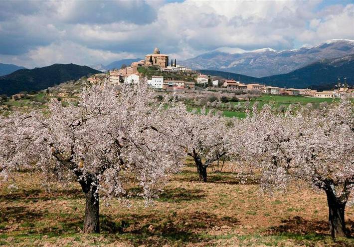 Hôtel pour 4 personnes, avec vue et jardin à Bierge - 3
