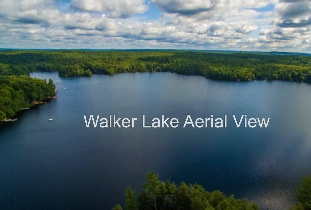 Blue Heron Cove mit Algonquin Pass & Schneeschuhen. Bring dein Haustier frei! in Muskoka