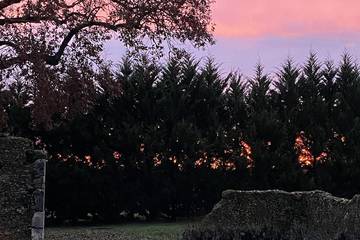 Gîte pour 2 personnes, avec jardin, animaux acceptés à Mauléon-d'Armagnac