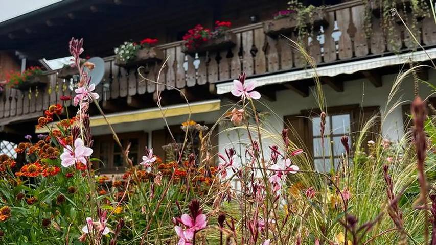 Ferienwohnung für 6 Personen, mit Garten und Sauna in Das Blaue Land - 2