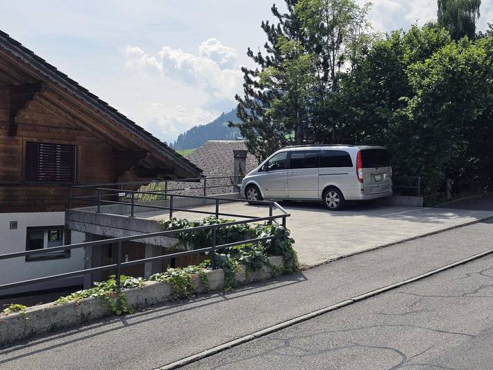 Ganze Wohnung, Am Ryschbächli in Saanenmöser, Zweisimmen