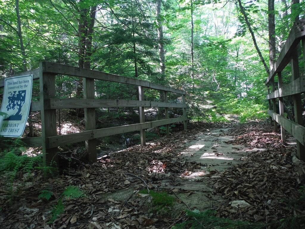 Abgeschiedenes Blockhaus 1/3 mi. von Aufzügen / Lodge. Wasserfälle, Aussicht, Teich, Privatsphäre. in Dover (VT), Mount Snow