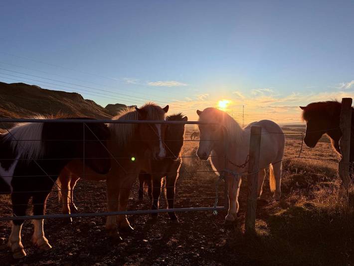 Albergue para 2 personas, con terraza y vistas, Se admiten mascotas en Islandia