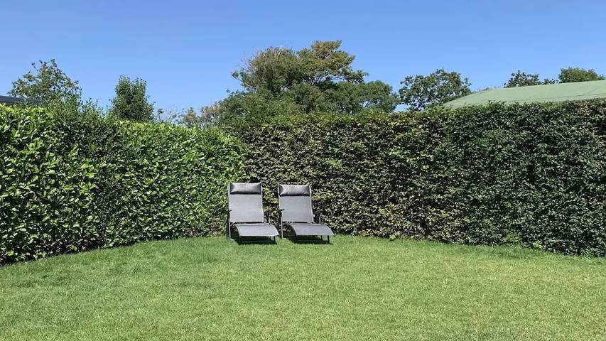 Bungalow für 4 Personen, mit Terrasse und Garten in Zoutelande - 4