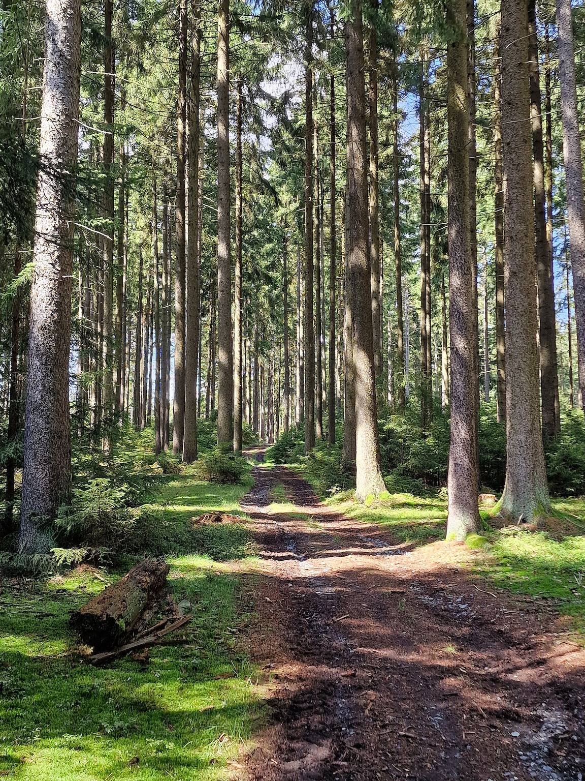 Ferienhaus „Forest Stay im Alten Zollhaus“ mit Wlan in Rehau, Landkreis Hof
